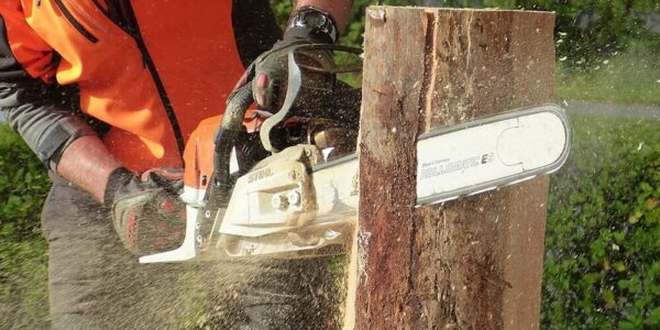 Corso base per carrelli elevatori, corretto utilizzo motosega e DPI in agricoltura