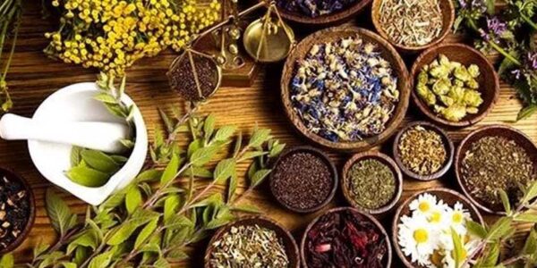 Settore agroalimentare: piante officinali